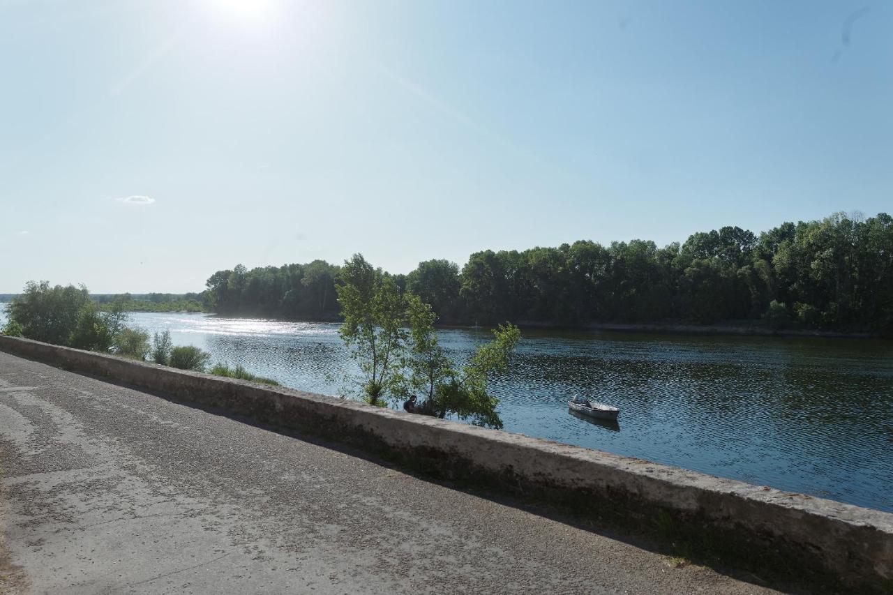 Отель La Boisselee Saint-Dye-sur-Loire Экстерьер фото